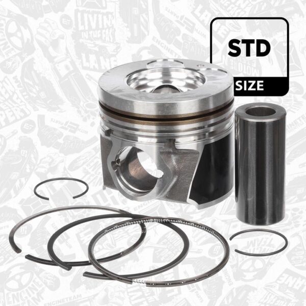 Piston & Piston Rings